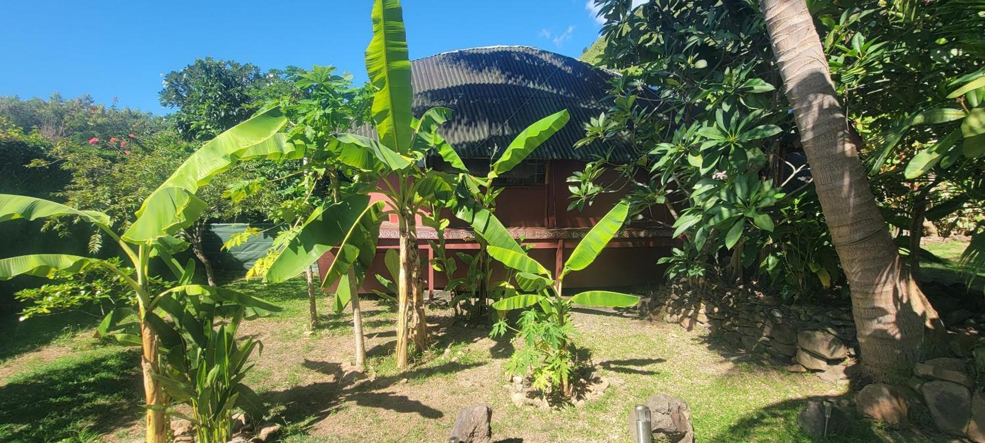 Location " La Pirogue " Maison D'Hotes A Moorea 哈皮蒂 外观 照片