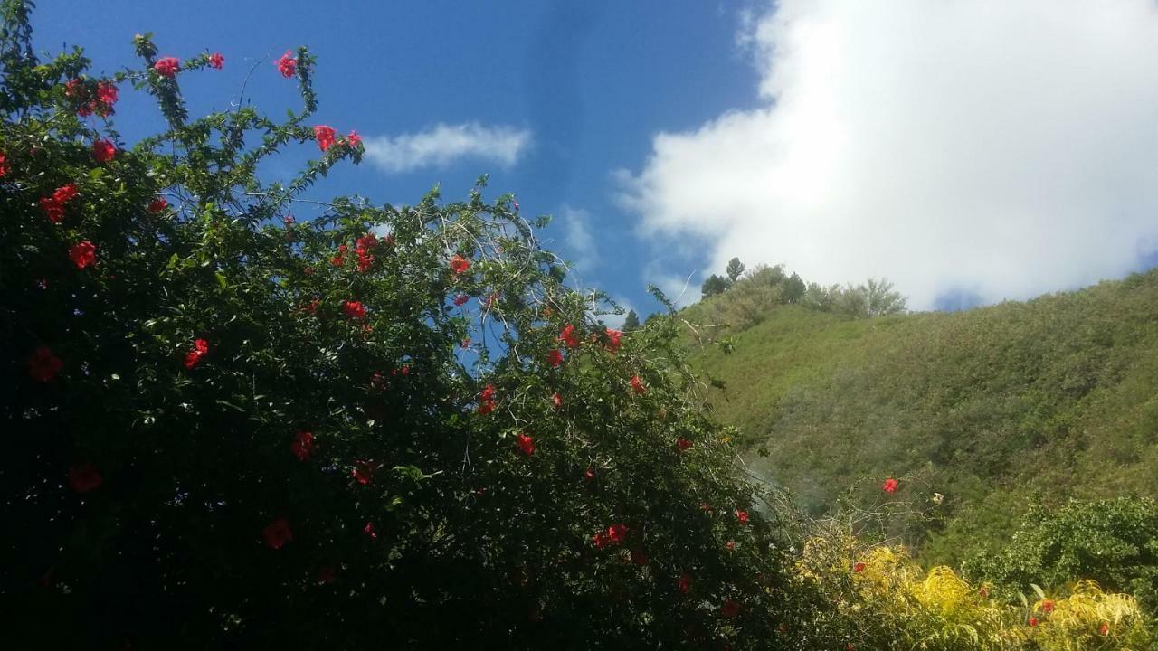 Location " La Pirogue " Maison D'Hotes A Moorea 哈皮蒂 外观 照片